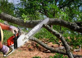Mulching Services in Carpentersville, IL